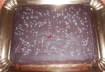 Torta di zucca gialla e cioccolato