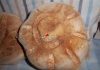 Pane di semola
